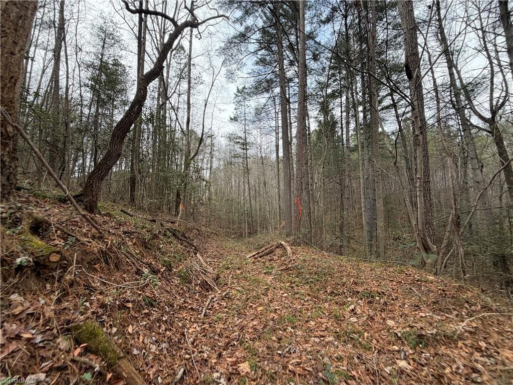 Unimproved Land at TBD Shumate Mountain Road, Hays NC 28635, Hays, photo 29 of 30