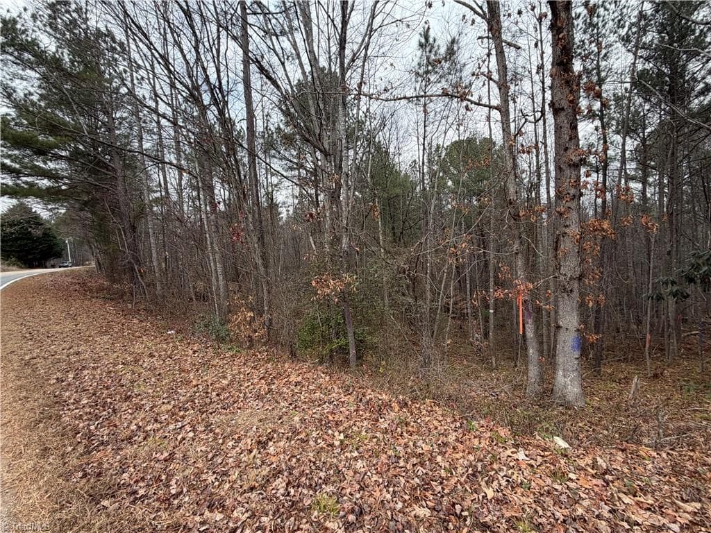 Unimproved Land at TBD Shumate Mountain Road, Hays NC 28635, Hays, photo 21 of 30