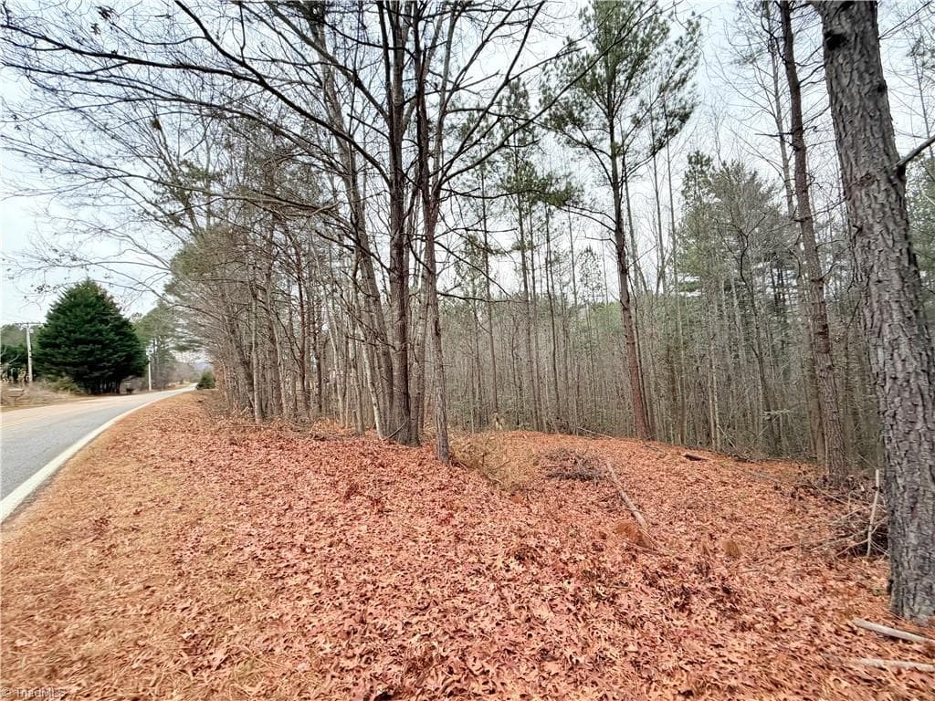 Unimproved Land at TBD Shumate Mountain Road, Hays NC 28635, Hays, photo 7 of 30