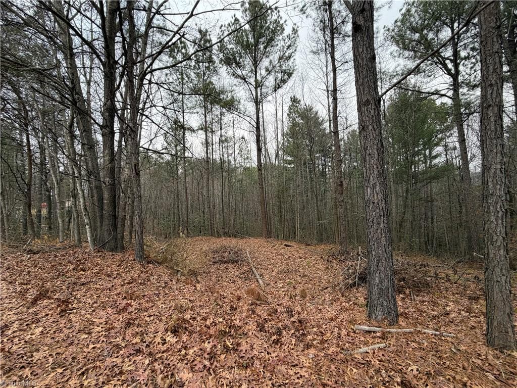 Unimproved Land at TBD Shumate Mountain Road, Hays NC 28635, Hays, photo 15 of 30