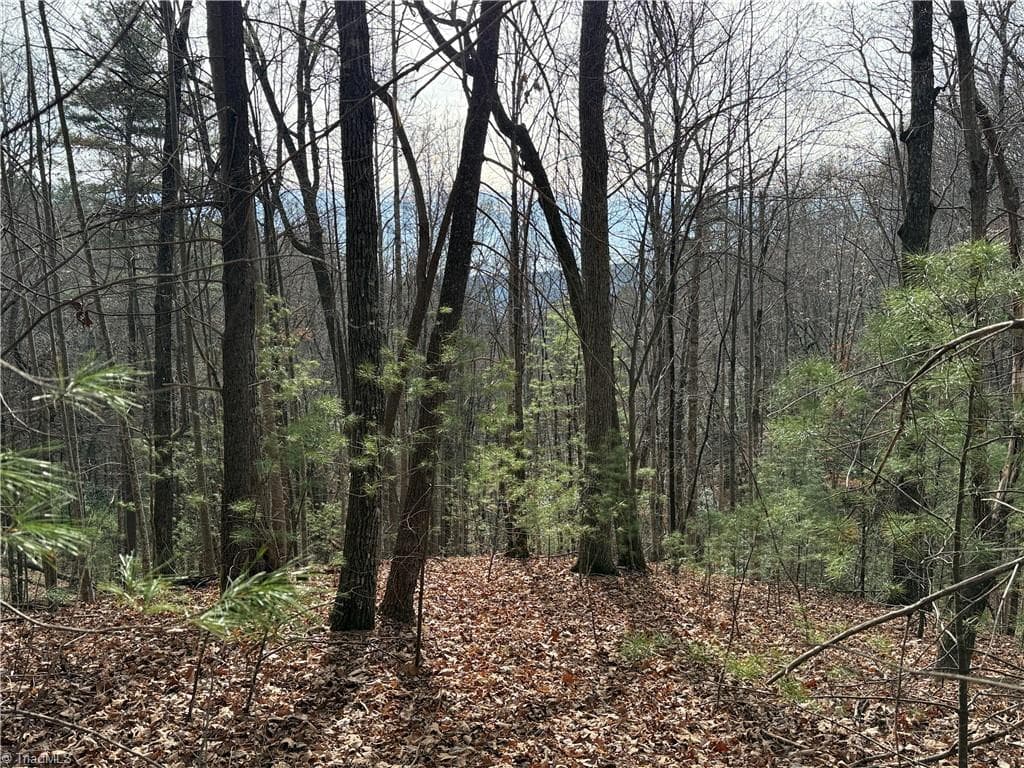 Single Family Residence at Lot 21 Buck Mountain Road, Purlear NC 28665, Purlear, photo 2 of 40