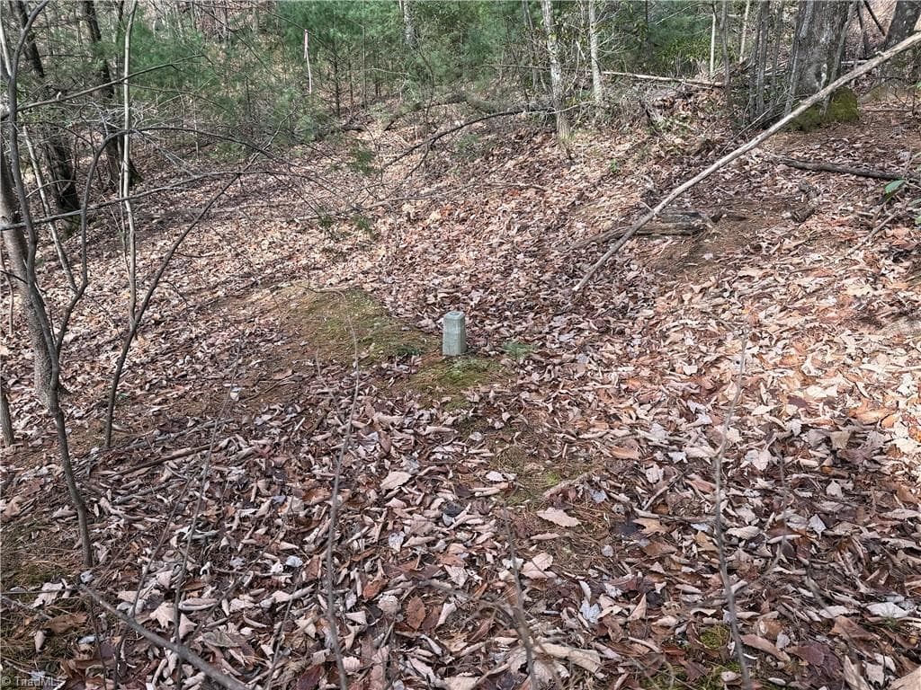 Single Family Residence at Lot 21 Buck Mountain Road, Purlear NC 28665, Purlear, photo 13 of 40