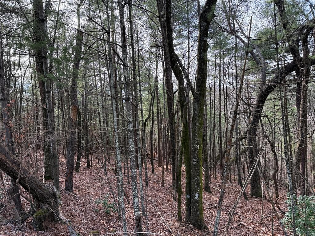 Single Family Residence at Lot 21 Buck Mountain Road, Purlear NC 28665, Purlear, photo 17 of 40
