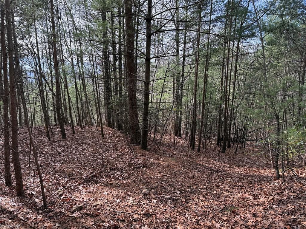 Single Family Residence at Lot 21 Buck Mountain Road, Purlear NC 28665, Purlear, photo 16 of 40