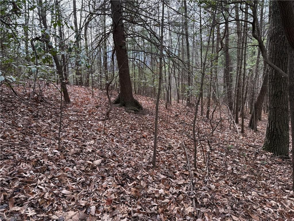 Single Family Residence at Lot 21 Buck Mountain Road, Purlear NC 28665, Purlear, photo 12 of 40