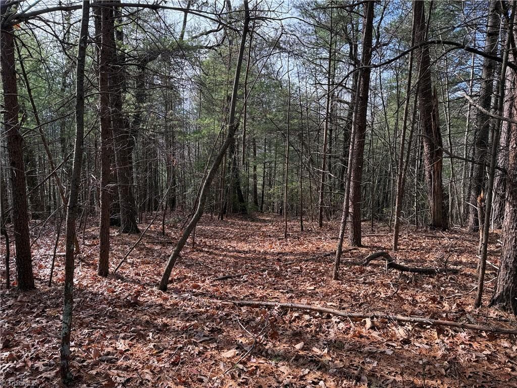 Single Family Residence at Lot 21 Buck Mountain Road, Purlear NC 28665, Purlear, photo 7 of 40