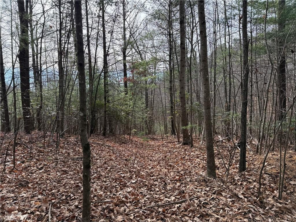Single Family Residence at Lot 21 Buck Mountain Road, Purlear NC 28665, Purlear, photo 10 of 40