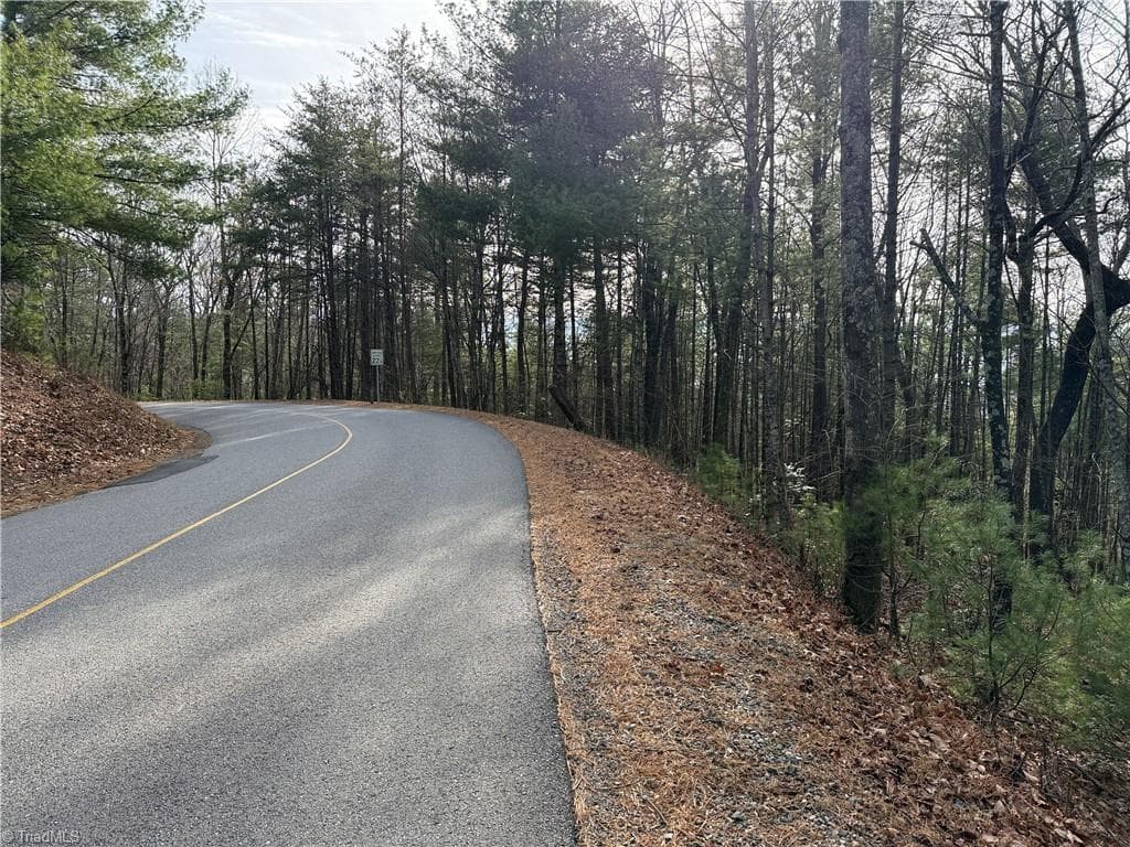 Single Family Residence at Lot 21 Buck Mountain Road, Purlear NC 28665, Purlear, photo 18 of 40