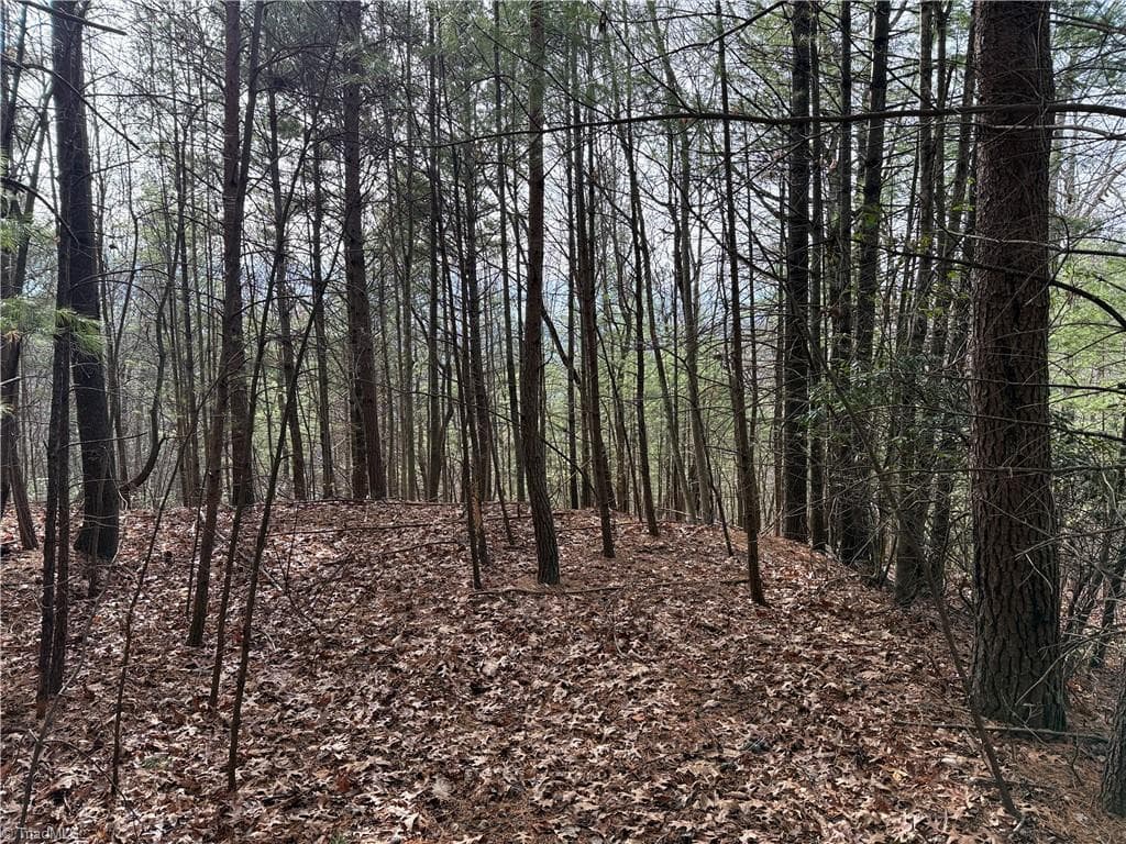 Single Family Residence at Lot 21 Buck Mountain Road, Purlear NC 28665, Purlear, photo 15 of 40