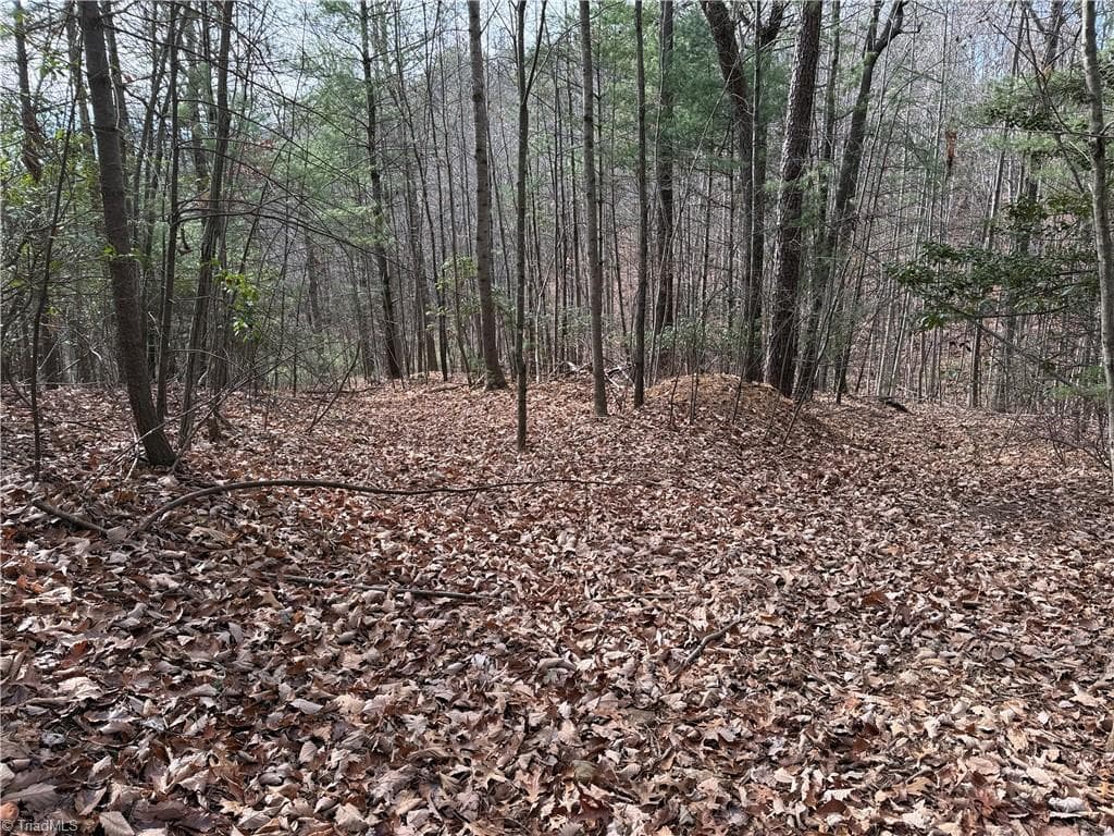 Single Family Residence at Lot 21 Buck Mountain Road, Purlear NC 28665, Purlear, photo 11 of 40