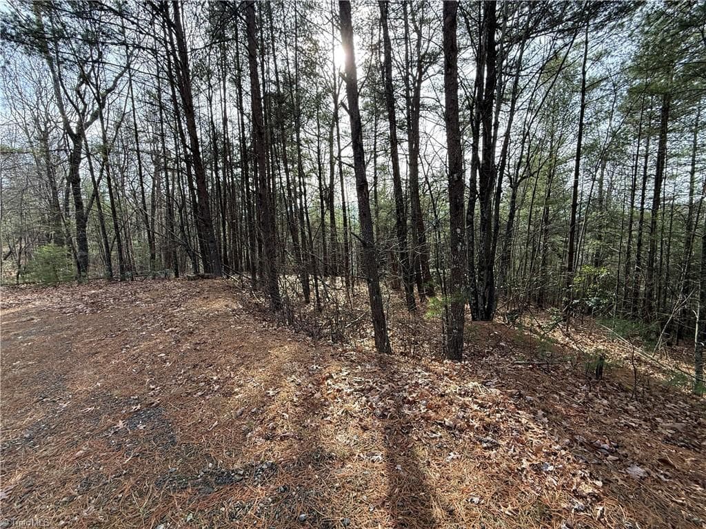 Single Family Residence at Lot 21 Buck Mountain Road, Purlear NC 28665, Purlear, photo 4 of 40