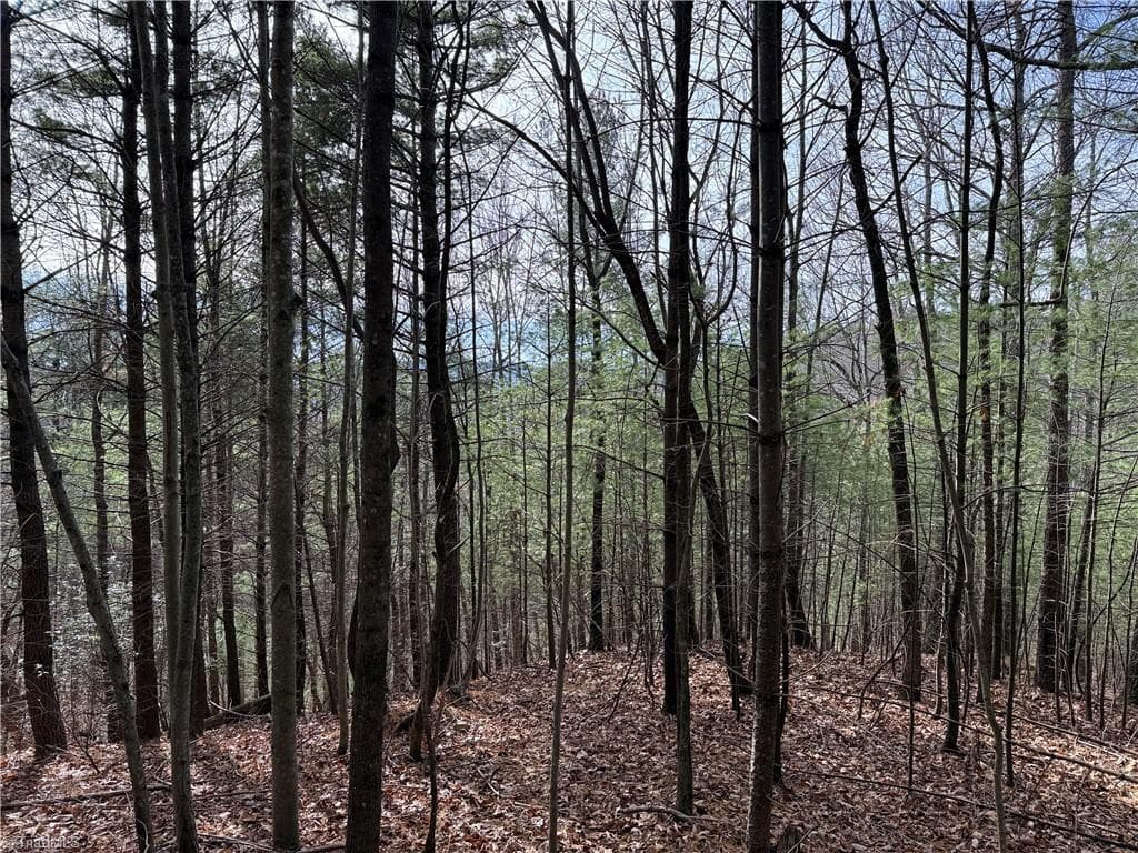 Single Family Residence at Lot 21 Buck Mountain Road, Purlear NC 28665, Purlear, photo 8 of 40