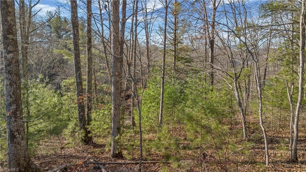 Unimproved Land at TBD River Stone Drive, Laurel Springs NC 28644, Laurel Springs, photo 11 of 52