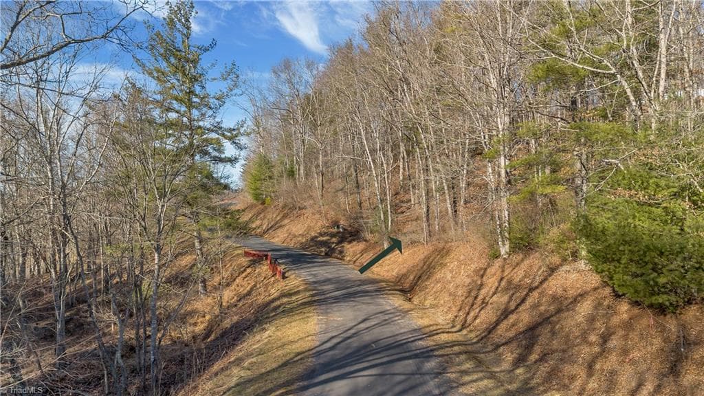 Unimproved Land at TBD River Stone Drive, Laurel Springs NC 28644, Laurel Springs, photo 25 of 52