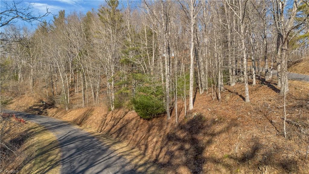 Unimproved Land at TBD River Stone Drive, Laurel Springs NC 28644, Laurel Springs, photo 23 of 52