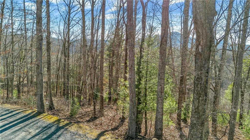 Unimproved Land at TBD River Stone Drive, Laurel Springs NC 28644, Laurel Springs, photo 13 of 52