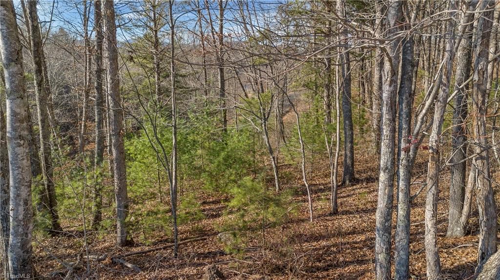 Unimproved Land at TBD River Stone Drive, Laurel Springs NC 28644, Laurel Springs, photo 9 of 52