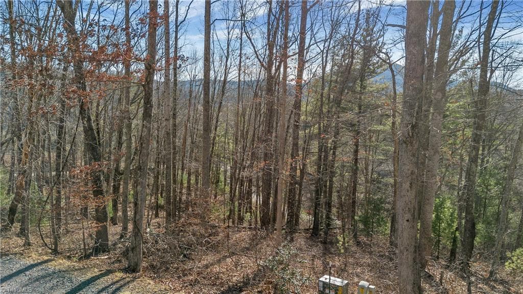 Unimproved Land at TBD River Stone Drive, Laurel Springs NC 28644, Laurel Springs, photo 17 of 52