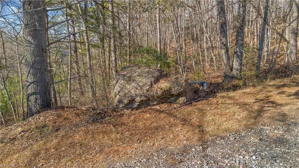 Unimproved Land at TBD River Stone Drive, Laurel Springs NC 28644, Laurel Springs, photo 19 of 52