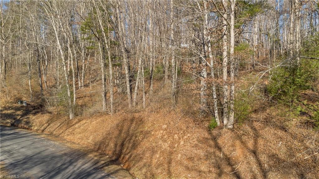 Unimproved Land at TBD River Stone Drive, Laurel Springs NC 28644, Laurel Springs, photo 21 of 52