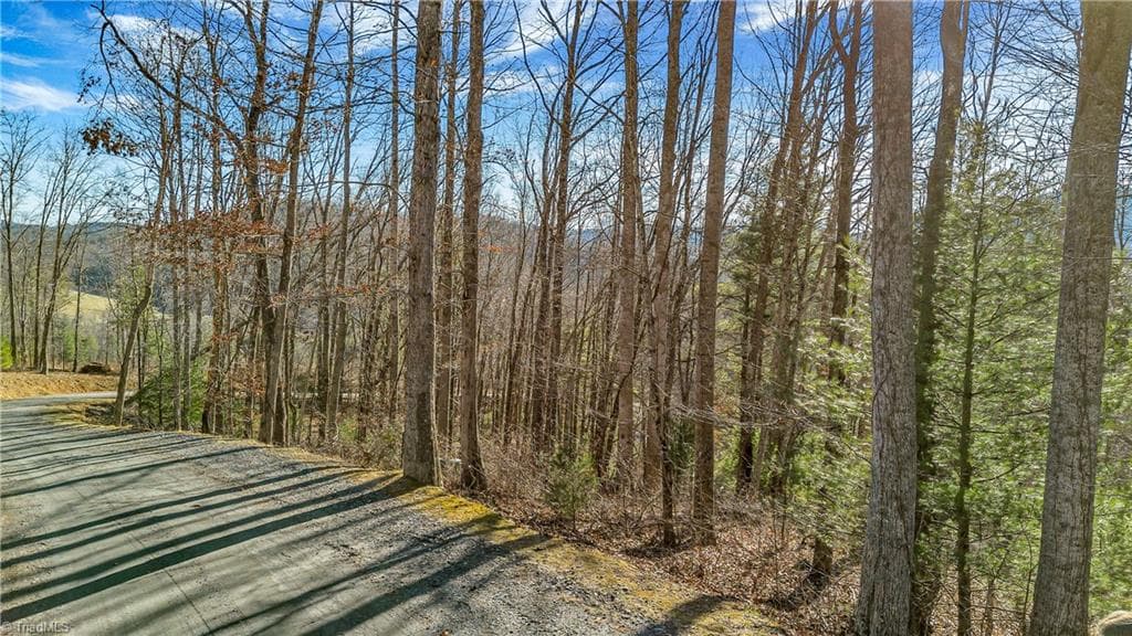 Unimproved Land at TBD River Stone Drive, Laurel Springs NC 28644, Laurel Springs, photo 15 of 52