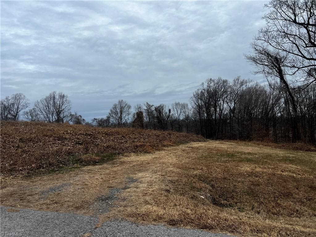 Unimproved Land at 0 Willow Street, Reidsville NC 27320, photo 2 of 6