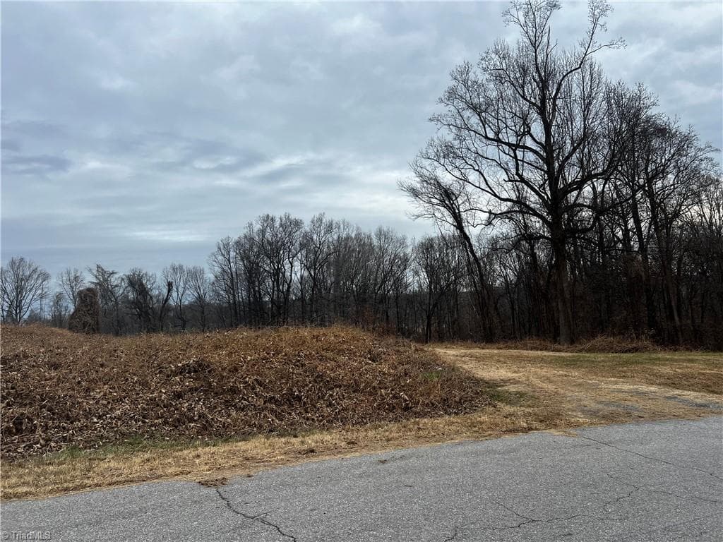 Unimproved Land at 0 Willow Street, Reidsville NC 27320, photo 3 of 6