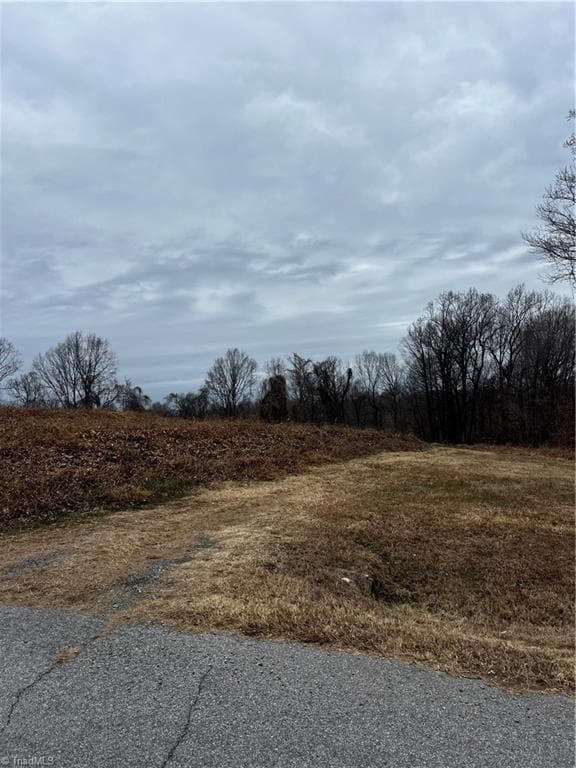 Unimproved Land at 0 Willow Street, Reidsville NC 27320, photo 5 of 6