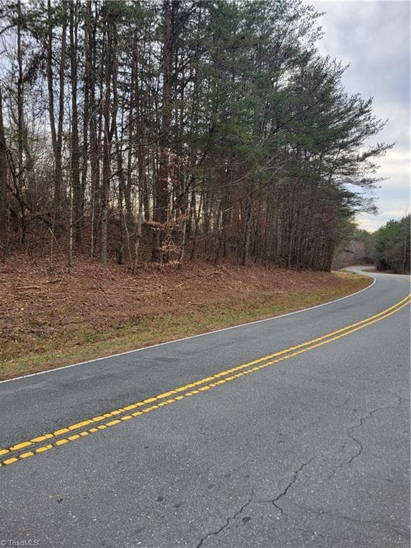 Unimproved Land at 1671 Bowen Road, Pinnacle NC 27043, photo 2 of 18