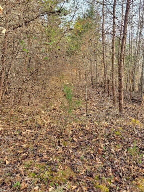 Unimproved Land at 1671 Bowen Road, Pinnacle NC 27043, photo 6 of 18