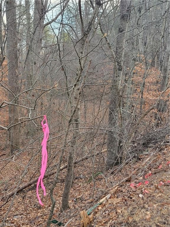 Unimproved Land at 1671 Bowen Road, Pinnacle NC 27043, photo 13 of 18