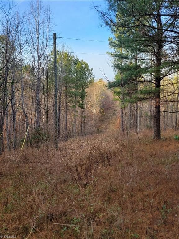 Unimproved Land at 1671 Bowen Road, Pinnacle NC 27043, photo 17 of 18