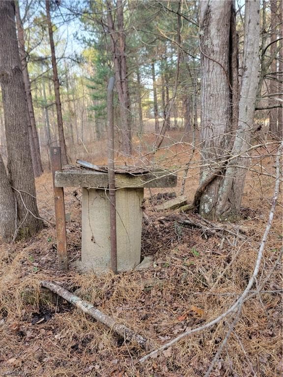 Unimproved Land at 1671 Bowen Road, Pinnacle NC 27043, photo 16 of 18