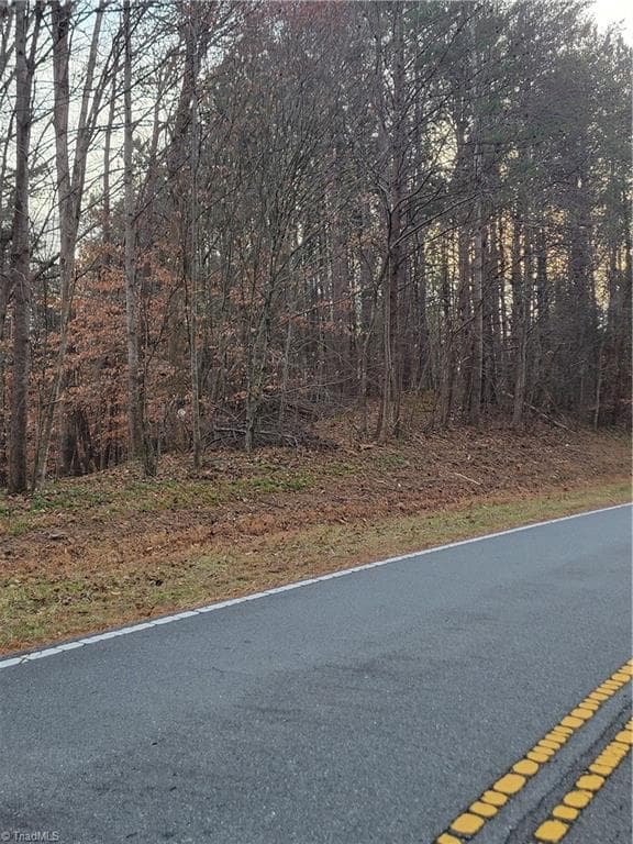 Unimproved Land at 1671 Bowen Road, Pinnacle NC 27043, photo 12 of 18