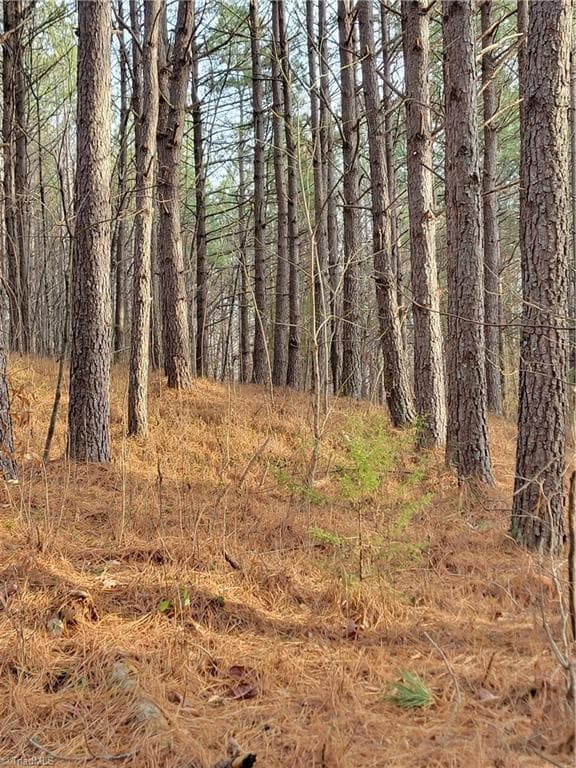Unimproved Land at 1671 Bowen Road, Pinnacle NC 27043, photo 7 of 18