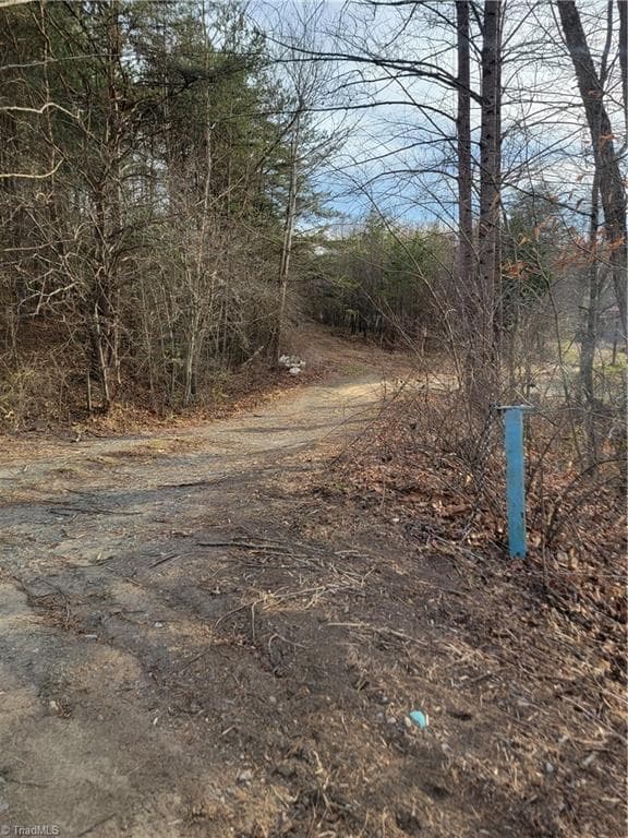 Unimproved Land at 1671 Bowen Road, Pinnacle NC 27043, photo 5 of 18
