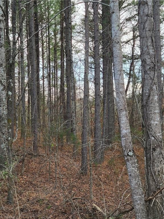 Unimproved Land at 1671 Bowen Road, Pinnacle NC 27043, photo 10 of 18