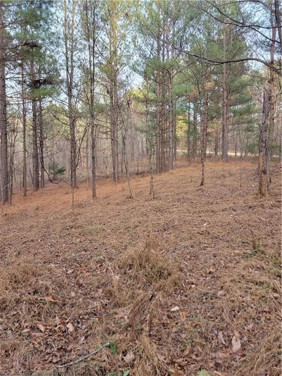 Unimproved Land at 1671 Bowen Road, Pinnacle NC 27043, photo 14 of 18