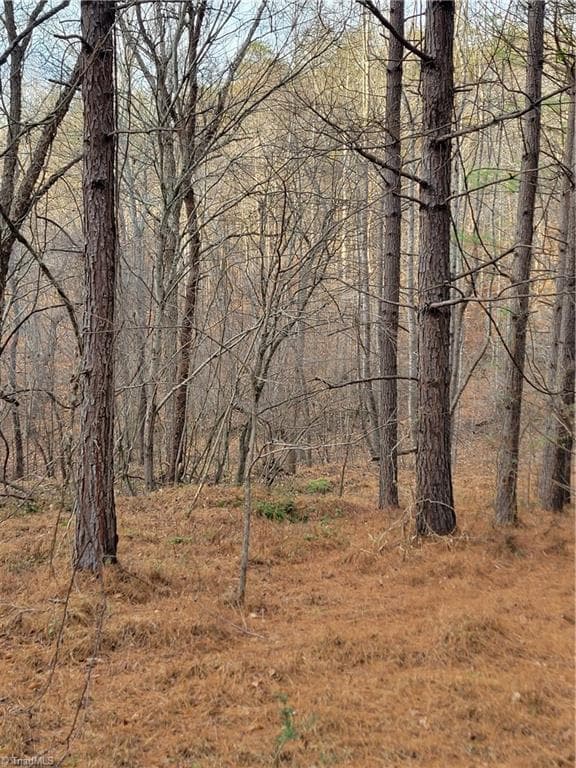 Unimproved Land at 1671 Bowen Road, Pinnacle NC 27043, photo 15 of 18