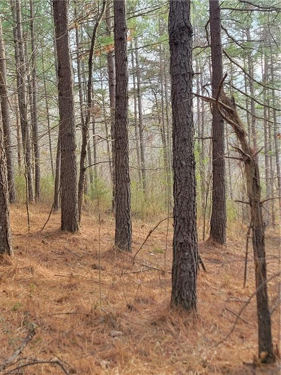 Unimproved Land at 1671 Bowen Road, Pinnacle NC 27043, photo 11 of 18