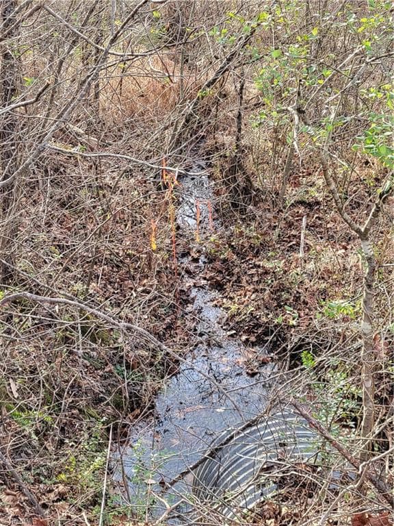 Unimproved Land at 1671 Bowen Road, Pinnacle NC 27043, photo 4 of 18