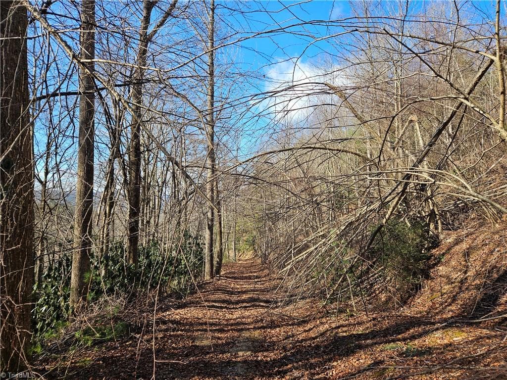Stick/Site Built at 339 Stillhouse Branch Road, Laurel Springs NC 28644, photo 49 of 50