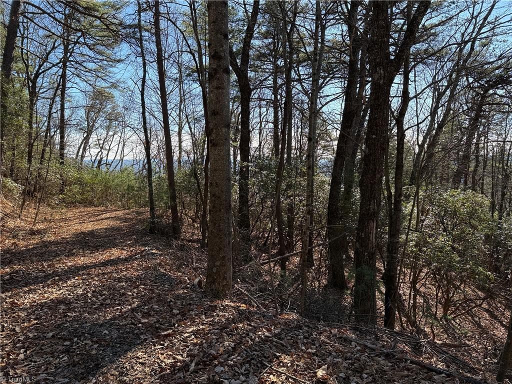 Single Family Residence at Lot 27 Bobcat Mountain Road, Purlear NC 28665, Purlear, photo 6 of 40