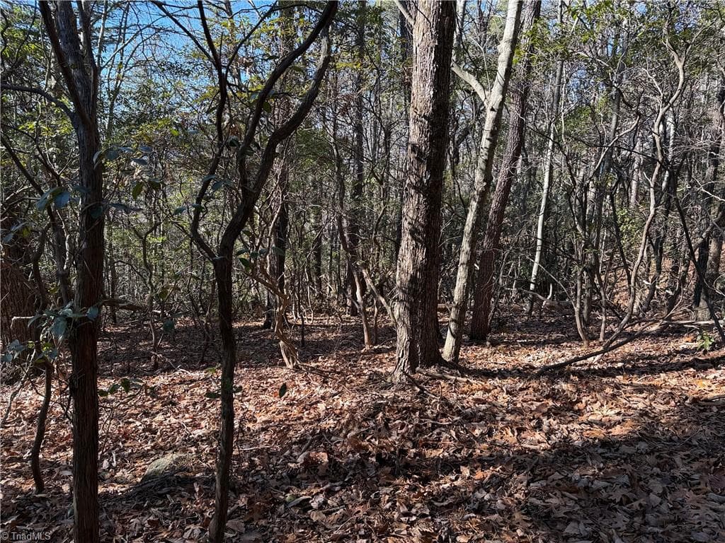 Single Family Residence at Lot 27 Bobcat Mountain Road, Purlear NC 28665, Purlear, photo 13 of 40
