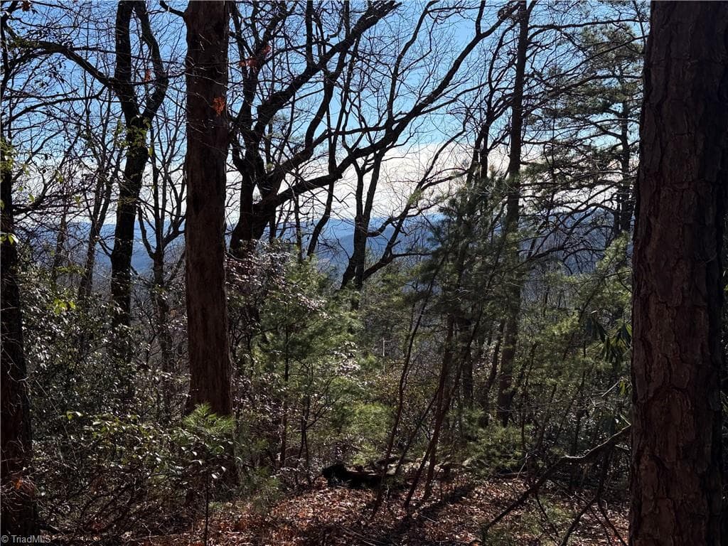 Single Family Residence at Lot 27 Bobcat Mountain Road, Purlear NC 28665, Purlear, photo 17 of 40