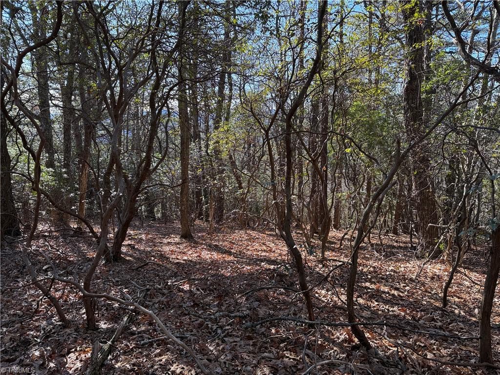 Single Family Residence at Lot 27 Bobcat Mountain Road, Purlear NC 28665, Purlear, photo 12 of 40