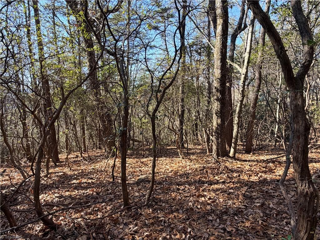 Single Family Residence at Lot 27 Bobcat Mountain Road, Purlear NC 28665, Purlear, photo 3 of 40