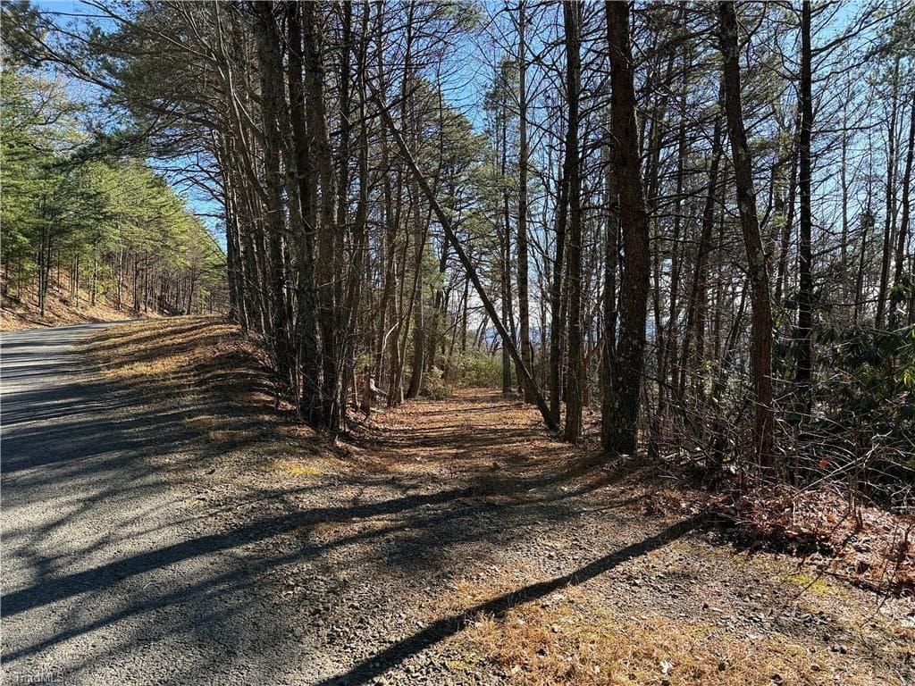 Single Family Residence at Lot 27 Bobcat Mountain Road, Purlear NC 28665, Purlear, photo 5 of 40