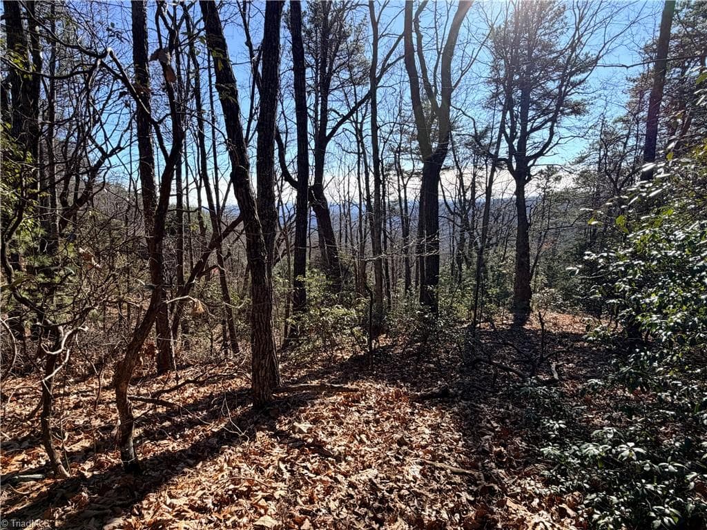 Single Family Residence at Lot 27 Bobcat Mountain Road, Purlear NC 28665, Purlear, photo 9 of 40