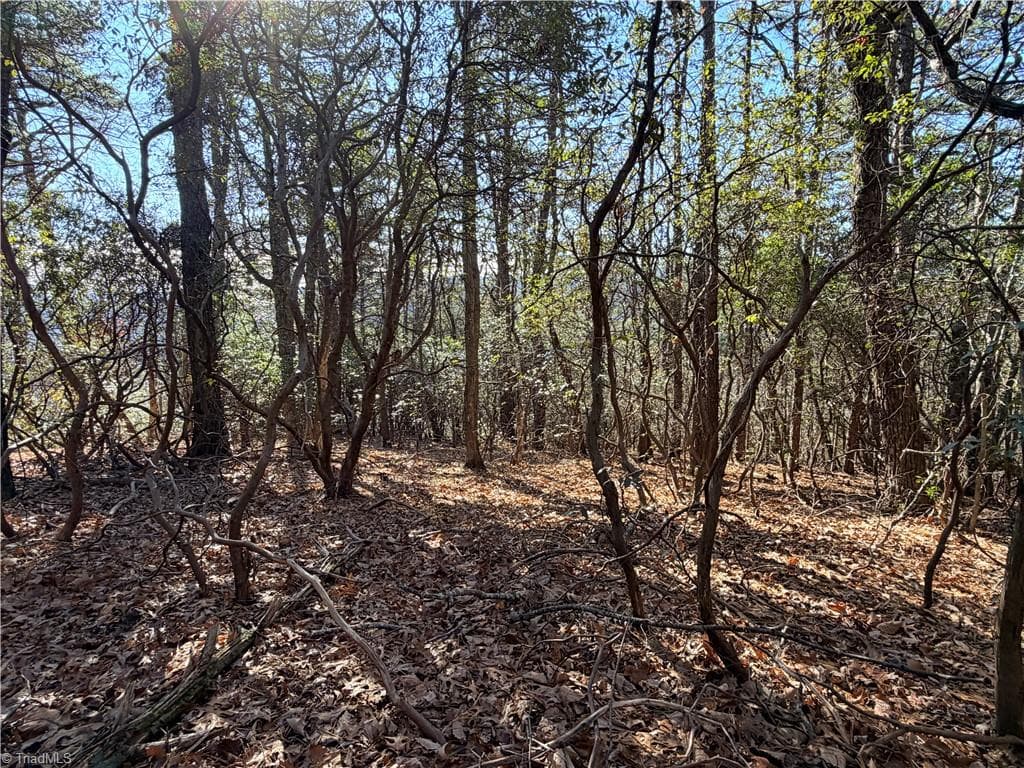 Single Family Residence at Lot 27 Bobcat Mountain Road, Purlear NC 28665, Purlear, photo 10 of 40